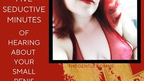 The Gentle Domme-Five Seductive Minutes of Hearing About Your Small Penis-SPH