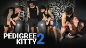 Pedigree Kitty 2