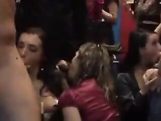 PARTY IN TIMISOARA