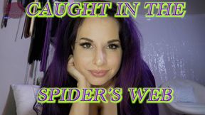 Caught In The Spider's Web (CUSTOM ORDER)