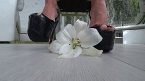 Crushed a white flower with platform shoes aa