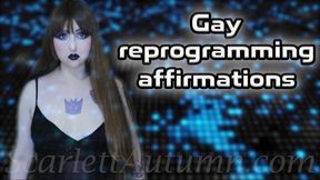 Gay reprogramming affirmations - WMV SD 480p