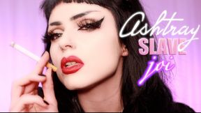 Ashtray Slave JOI