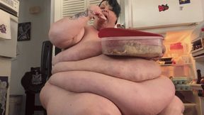 Holiday Leftovers Heavyweight Stuffing SD