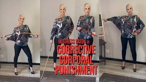 Corrective Corporal Punishment HD (for Windows)