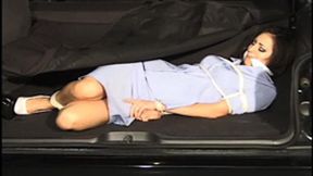 Stunning brunette businesswoman Roxanne Chadwick lies bound and gagged in the back of an SUV!