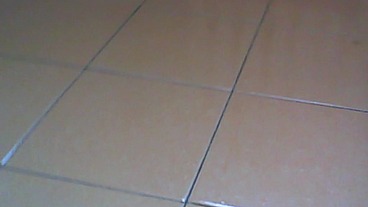 go crazy! she lick her pee on the floor and farts