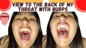 View to the back of my throat with burps
