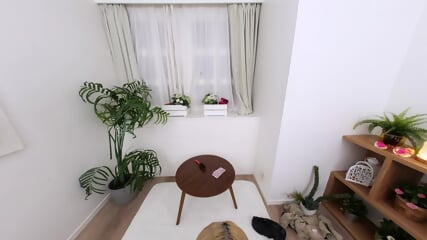 savr00519_1