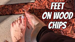 Feet On Wood Chips