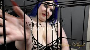 What You Can't Have (wmv)