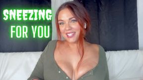 Sneezing for You (wmv)