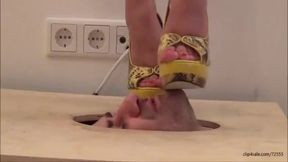 Footdomina Gabriella Face Trampling In Fashion High Heels