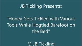 Honey Hogtied for Tickling - SD