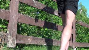 WEdges by the fence
