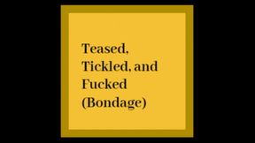 Tied Up, Teased, Tickled and Fucked