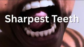 Sharpest Teeth Biting For You