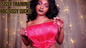 BBC Sissy Sucks