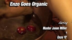 Enzo Goes Organic