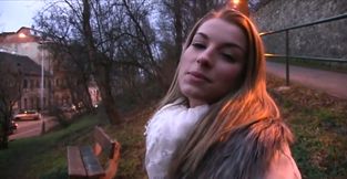 Picked up pretty nympho flashes her shaved pussy which gets fucked