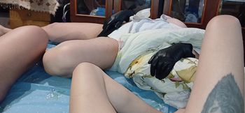 The Three of Us Masturbate Hot and Hard on the Bed and Cum at the Same Time