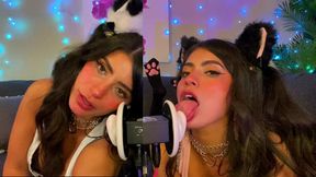 Two Cats Meme ASMR Lick Ear Flirt Soft Sounds - CorneliustheCat
