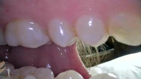 Mouth Cam - Terra Mizu