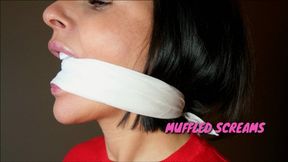 Sarah Wild in : Gag testing review while chair tied