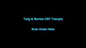 Nuts Under Nets