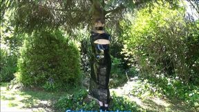 Wendy wrapped to a tree integral version