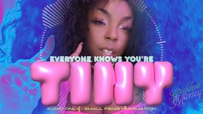 Everyone Knows You're Tiny! - WMV