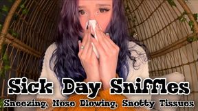 Sick Day Sniffles Sneezing and Nose Blowing
