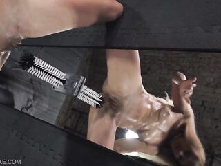 Acrobat - Queensnake.com - Queensect.com