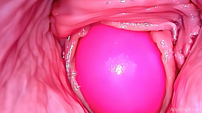 Inside a Camgirl - 720P Compressed