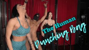 The human punching bag