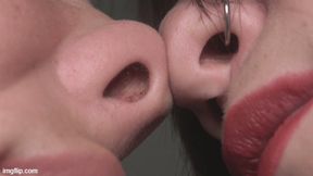 four holes and the inside of the nose