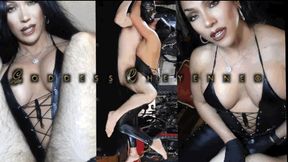 Sensual Strap-On Variations