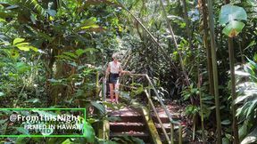 Wahiawa Gardens, Oahu - Couples Playground