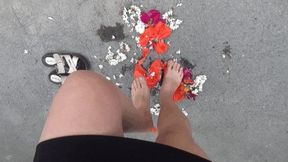 crush and jump on flowers barefoot and wearing flip flops FOC