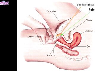 How to have a female jizz flow, become squirter  - Vic Alouqua