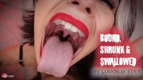 Bound, Shrunk, & Swallowed Ft Goddess Fina - HD MP4 1080p Format