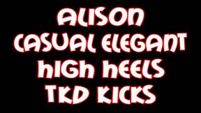 Alison casual elegant high heels tkd kicks