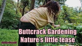 Buttcrack Gardening – Nature’s little tease