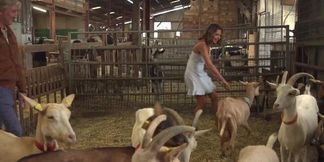 She's getting drilled hardcore in a barnyard bukkake extravaganza