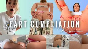 Fart Fart Fart - Stinky Compliation