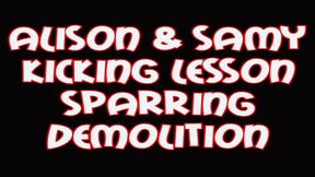 Alison and Samy kicking lesson sparring destruction