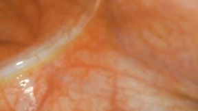 Endoscopic journey into my wet pussy in very high resolution with asmr trigger sounds 1080HD