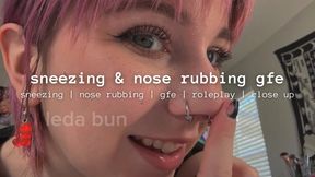 sneezing n nose rubbing gfe