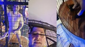 alineflavio - update #99 - 20230829_114052 - jul 16, 2024