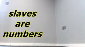 slaves are numbers (MOV)